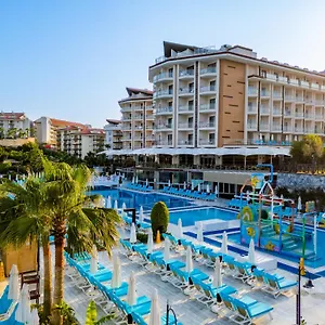 book here